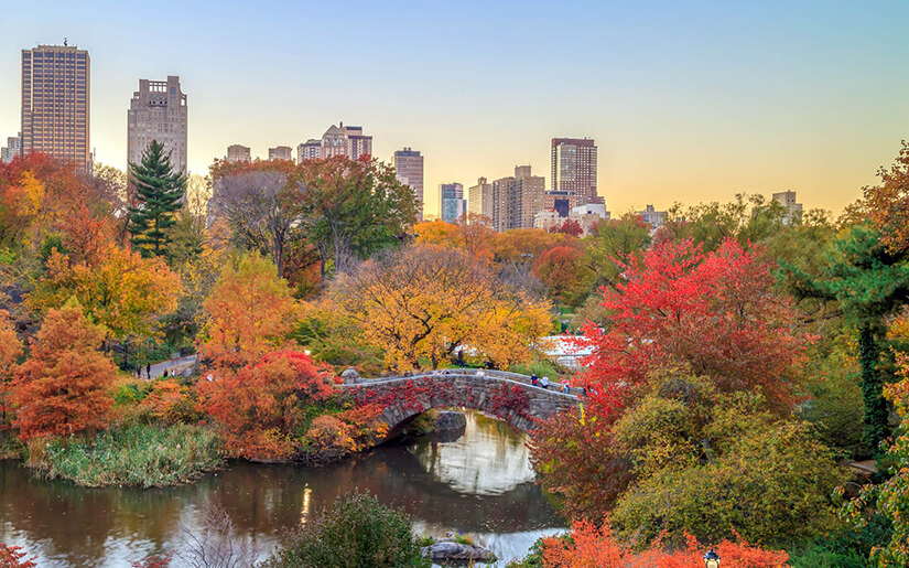 גשר גאפסטאו ניו יורק גשר גאפסטאו ניו יורק