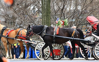 מצעד יום קולומבוס - Columbus Day Parade