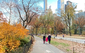 סנטרל פארק - Central Park